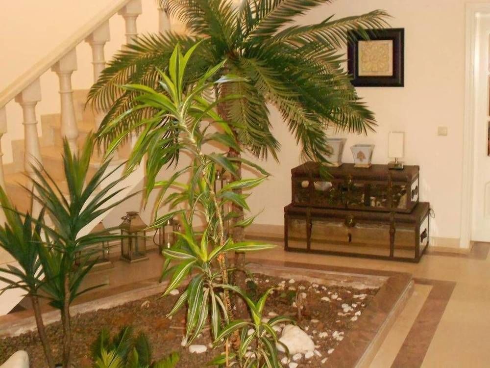 Suites & Beds Dp Αλμπουφέιρα Εξωτερικό φωτογραφία